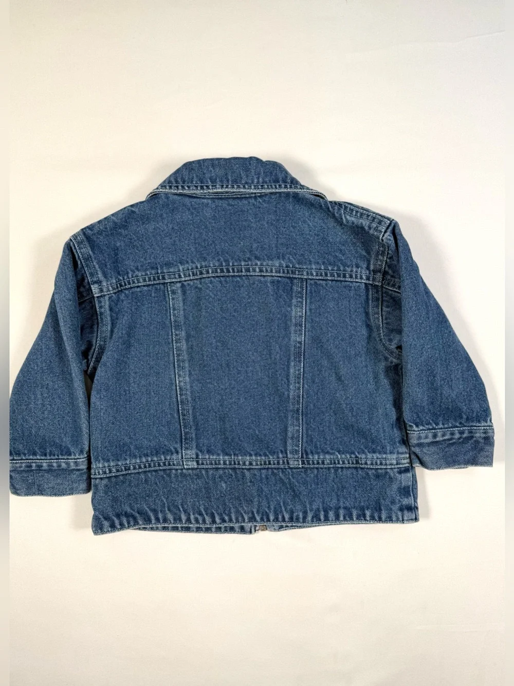 VINTAGE CANYON RIVER BLUES Denim Jacket 18M Y2K Embroidered Floral Zip‎ Up Retro